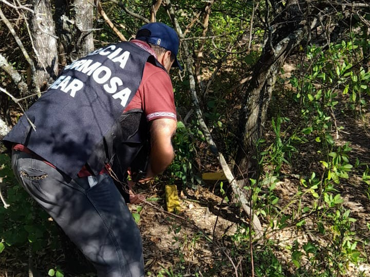 Ganadero encontró marihuana oculta en un monte de Juan Gregorio Bazán