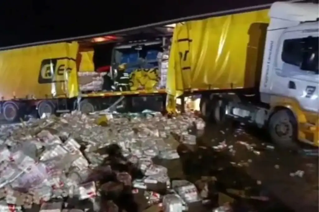 El camión involucrado habría salido desde la banquina tras realizar una parada en una gomería.