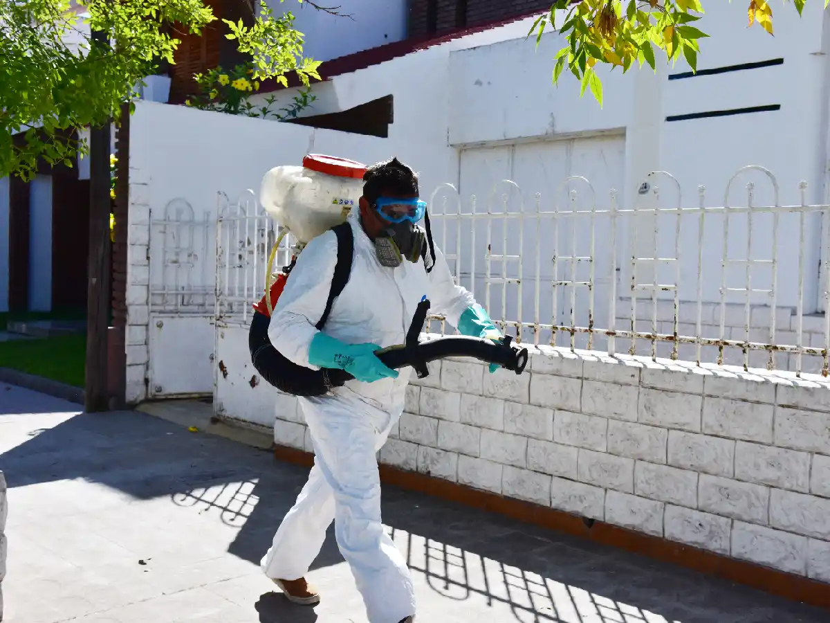 En 2 meses, confirmaron 26 casos de dengue en San Francisco 