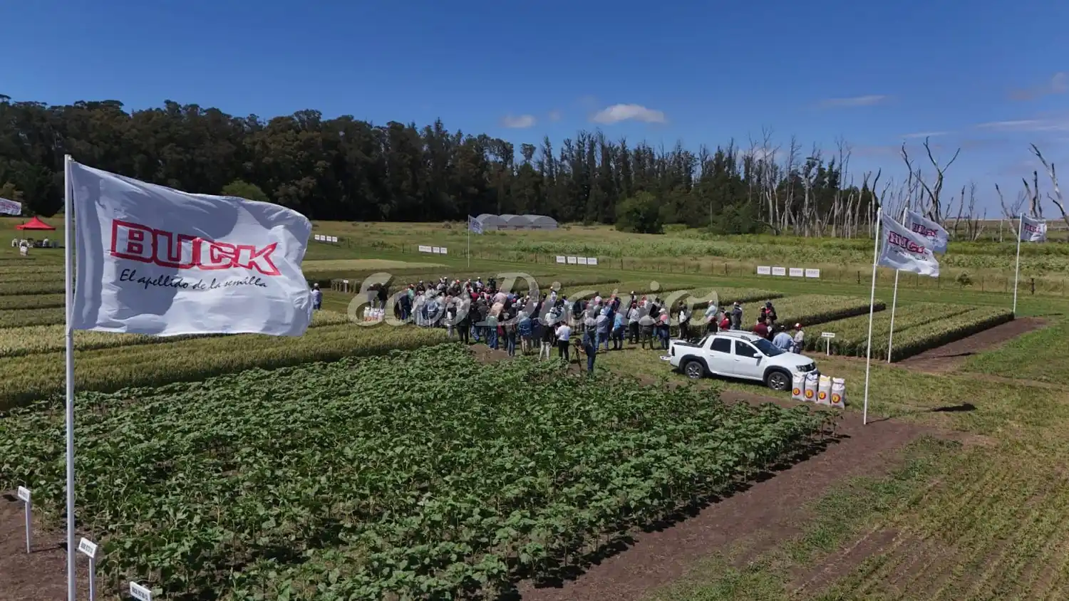 Con la participación de casi 100 productores locales y regionales.