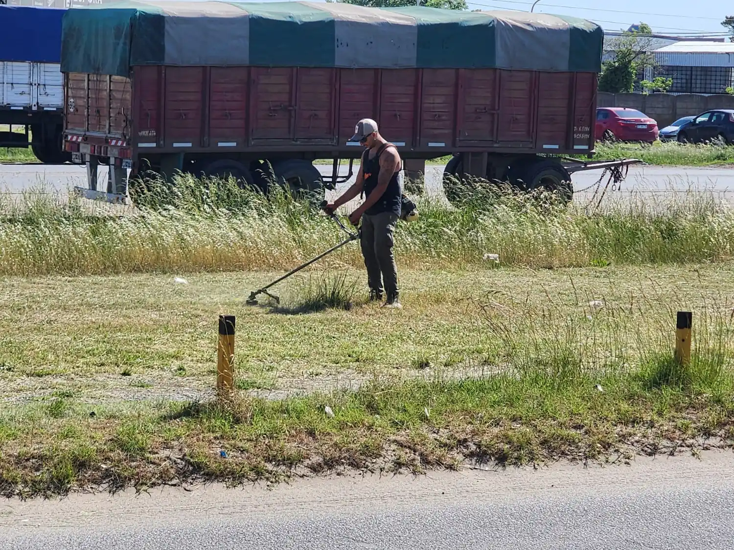 corte pasto ruta - 1