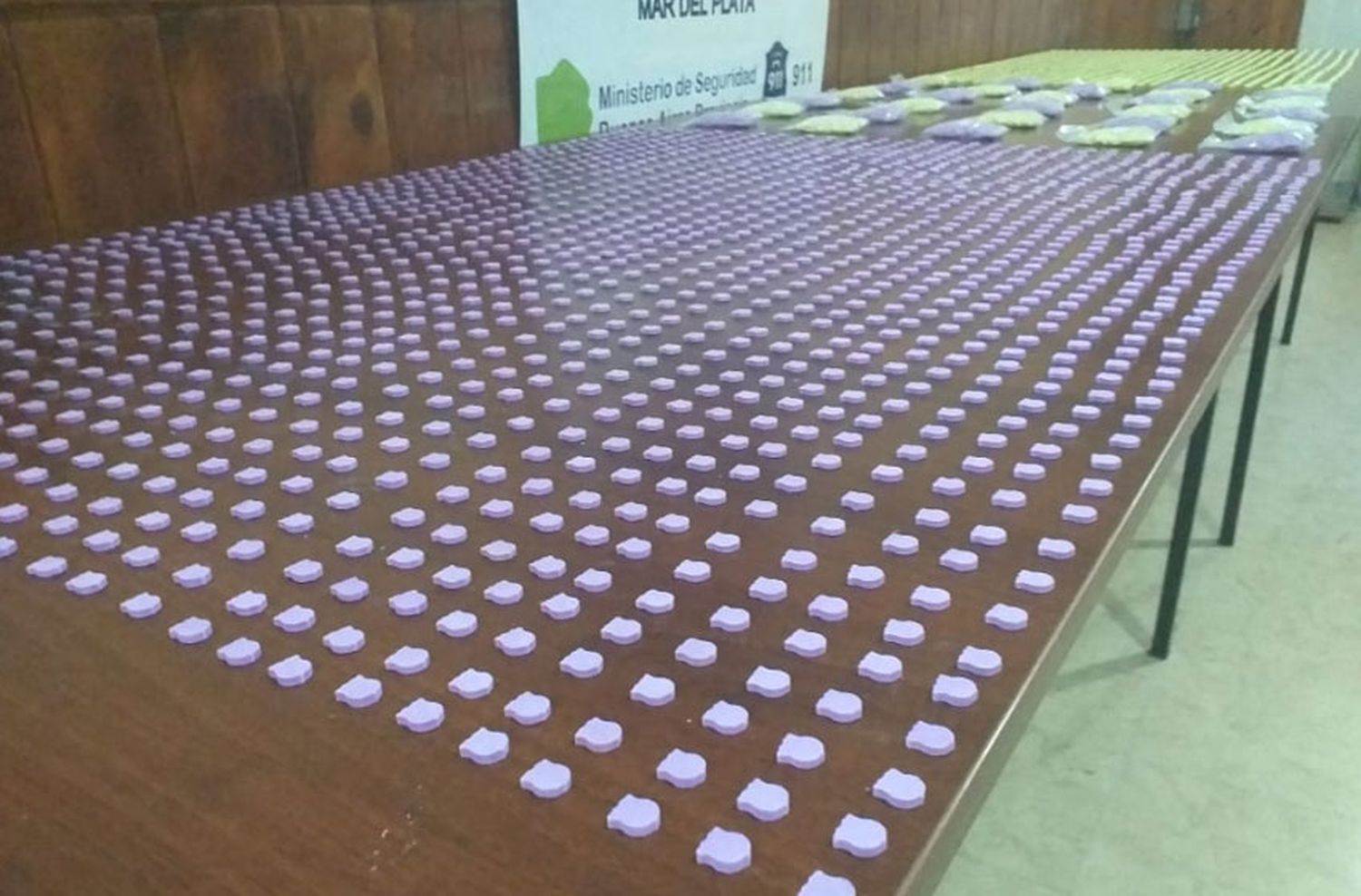 Golpe al narcotráfico: secuestraron 6 mil pastillas de éxtasis y detuvieron a un hombre