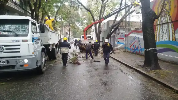 El viento provocó la caída de un árbol sobre la sede de Cáritas Rosario