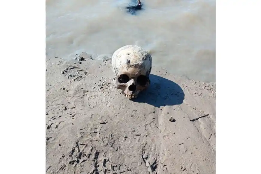 Uno de los restos que fue hallado en la costa. Archivo: El Litoral