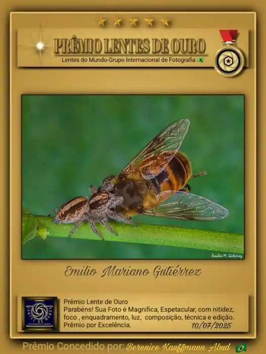 Nuevo reconocimiento internacional para el fotógrafo chascomunense Emilio Mariano Gutiérrez