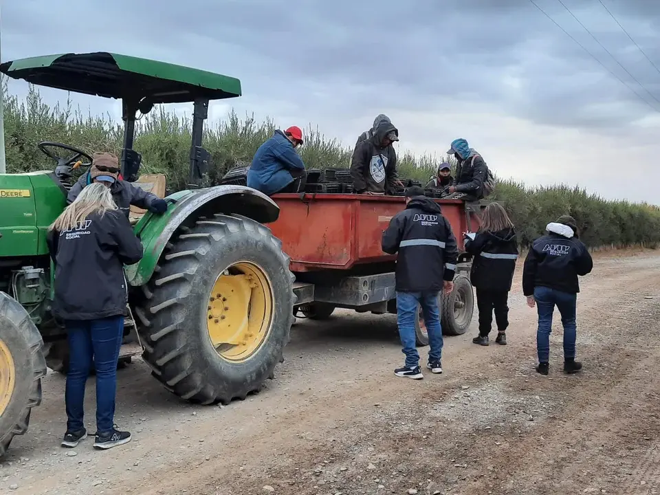 La AFIP fiscalizó un olivar y encontró indicios de trata y 99% de irregularidades en la registración