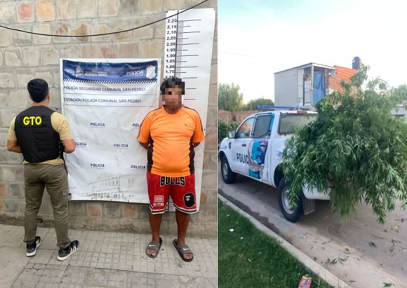 Allanamiento con resultado inesperado: arma tumbera y plantas de marihuana
