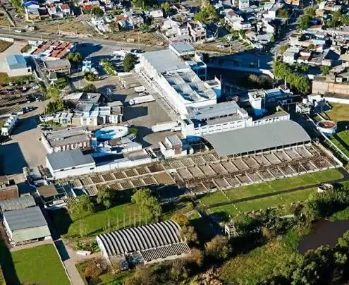 Productores ganaderos entrerrianos, entre los afectados por los cheques rechazados de un frigorífico bonaerense