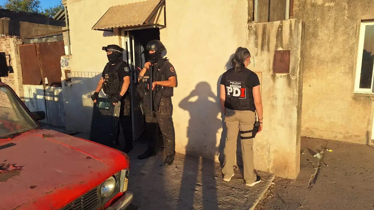 Allanamiento y detención por microtráfico: la PDI secuestró marihuana, plantas y cartuchos - 2
