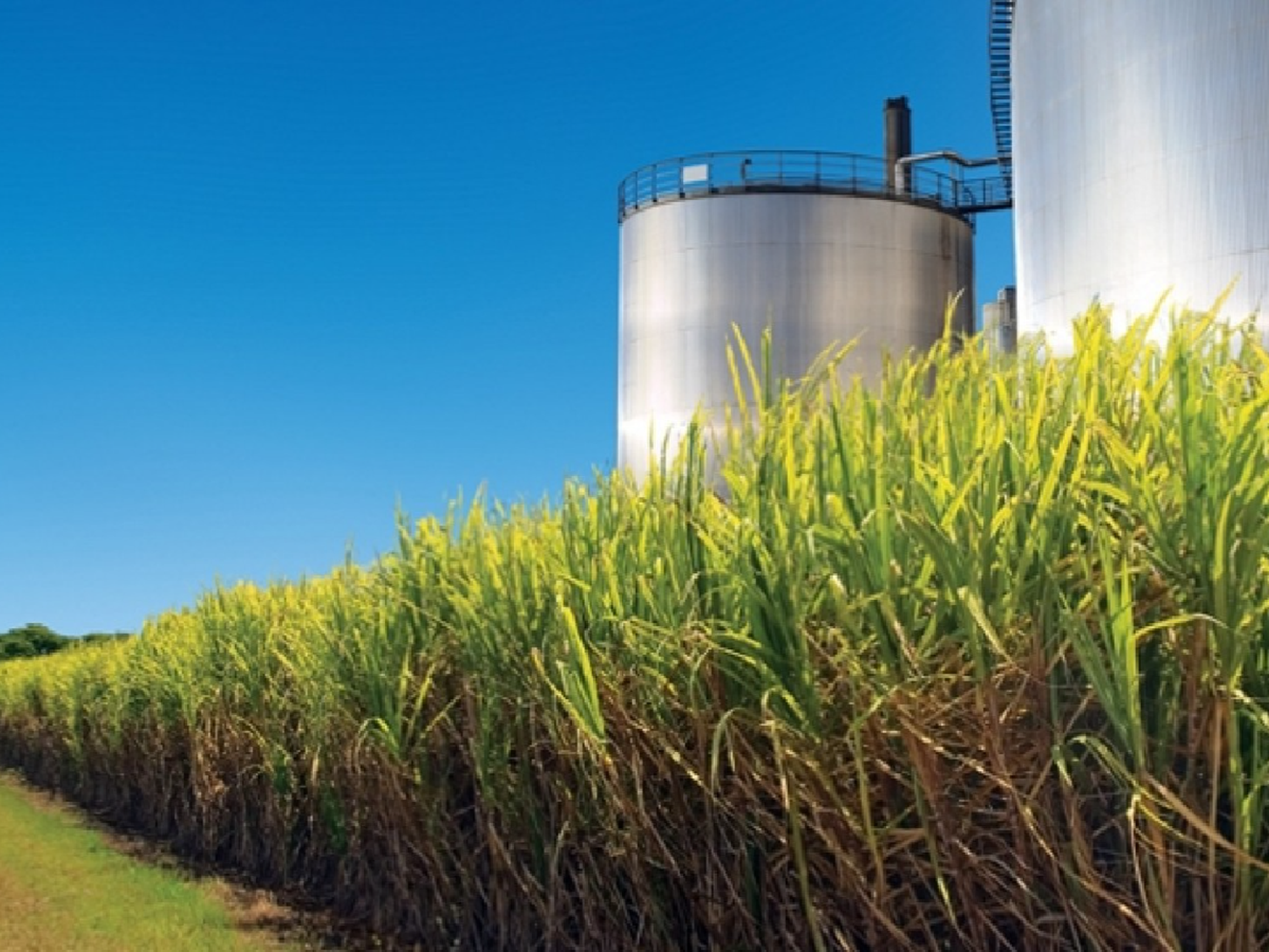 Oficializan la prórroga de la Ley de Biocombustibles