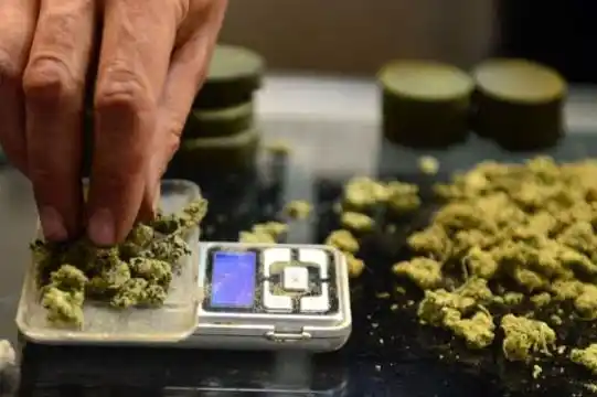 Marihuana en farmacias, desde Junio de 2016