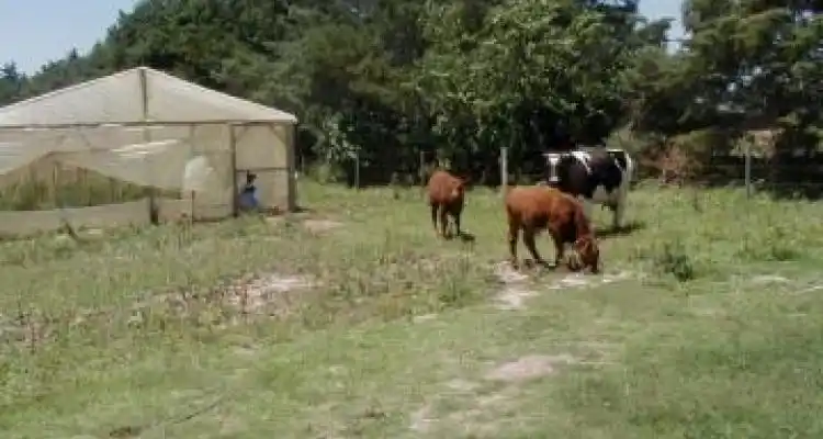 Auditores del Ministerio recorrieron la granja por las denuncias