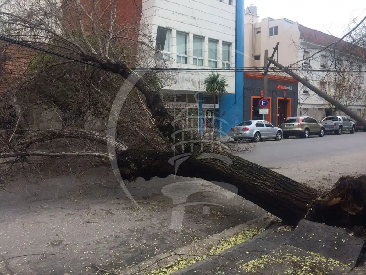 Los barrios del sur, los más afectados