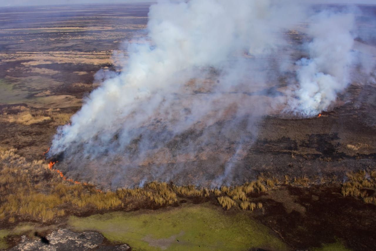 Proyecto de Ley Humedales: Se pretende reglamentar el uso sustentable de tierras fiscales