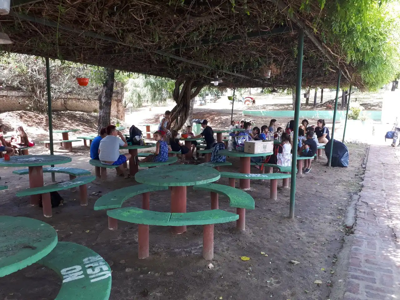 Qué hacen los chicos en Verano ATR: pileta, música y actividades recreativas, educativas y deportivas