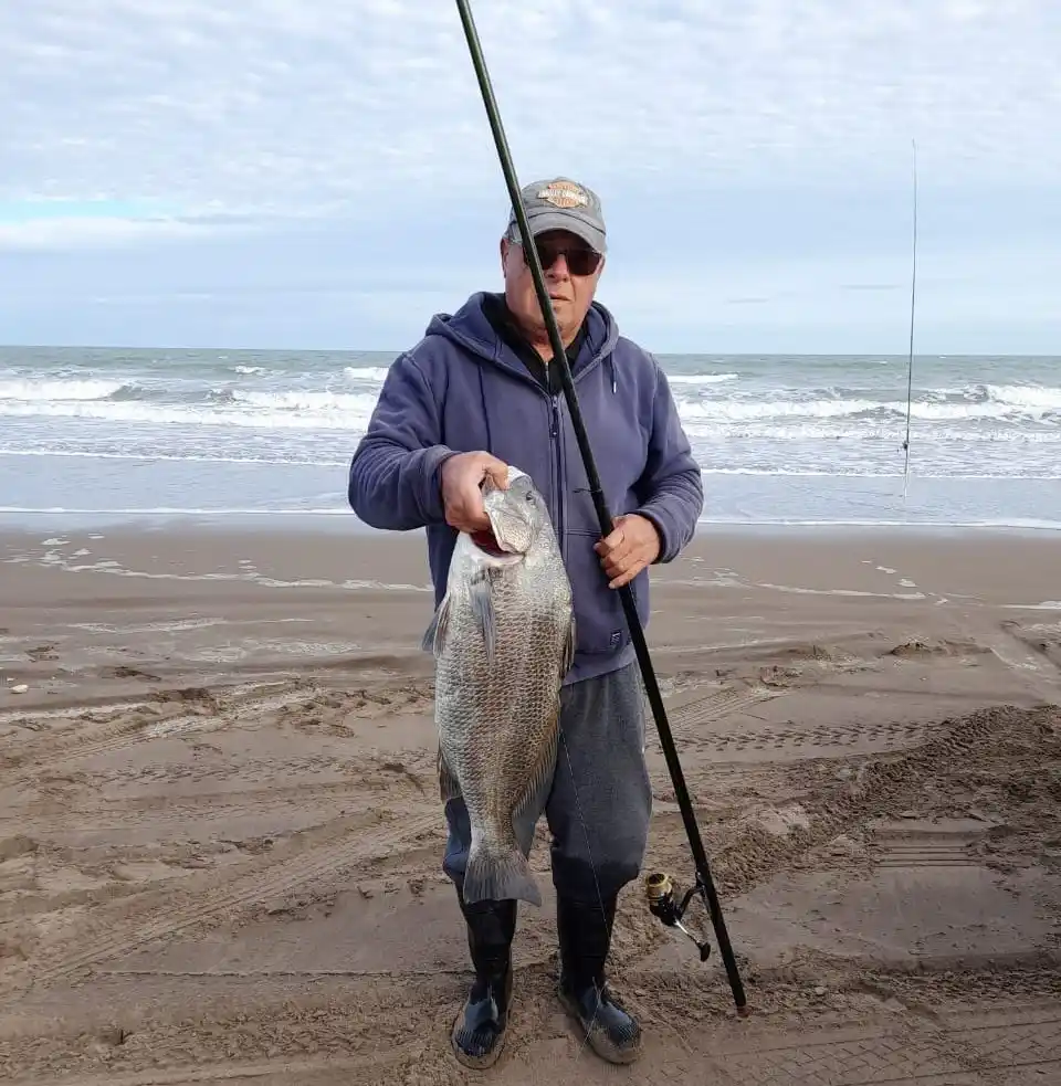Salió una corvina negra de 6 kilos en Marisol