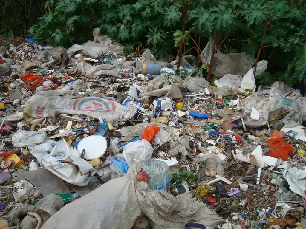 Conmoción en Gualeguay: encontraron un bebé muerto en un basural