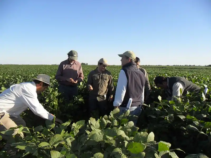 Agricultura digital: herramientas gratuitas para calibrar los equipos guiados por especialistas