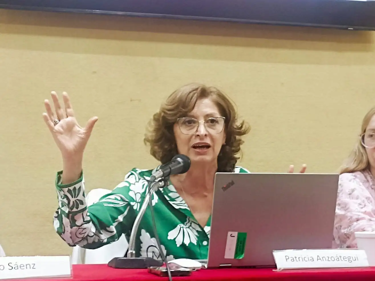 Abogada penalista Patricia Anzoátegui: "La falsa denuncia no es un tema de género, es un problema de justicia y de daño a las infancias".