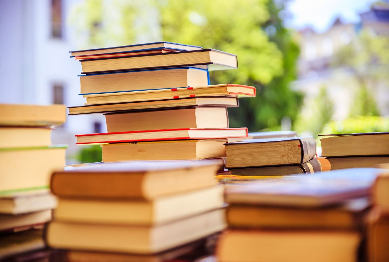 Los libros que prefieren los crespenses y los 10 más leídos de 2020