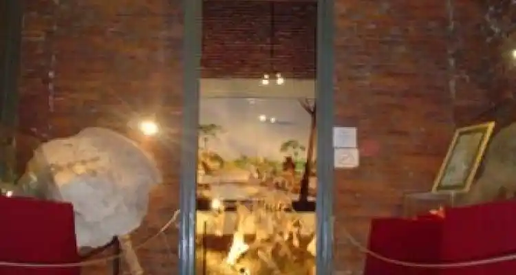 El museo paleontológico en la televisión