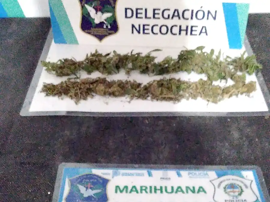 Teléfonos celulares. Secuestrados en la tarde del miércoles, serán materia de pericias