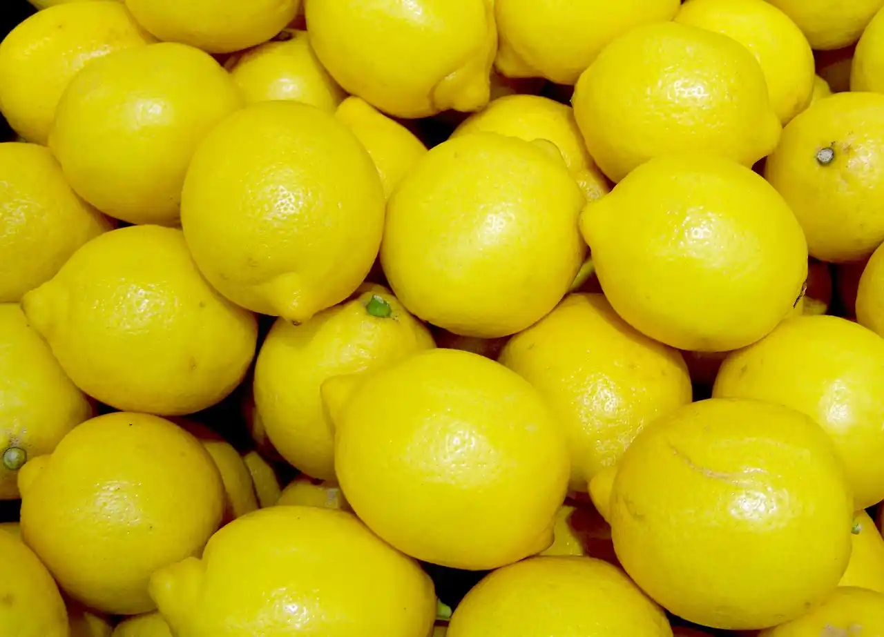 “California quiere frenar la importación de limones argentinos”