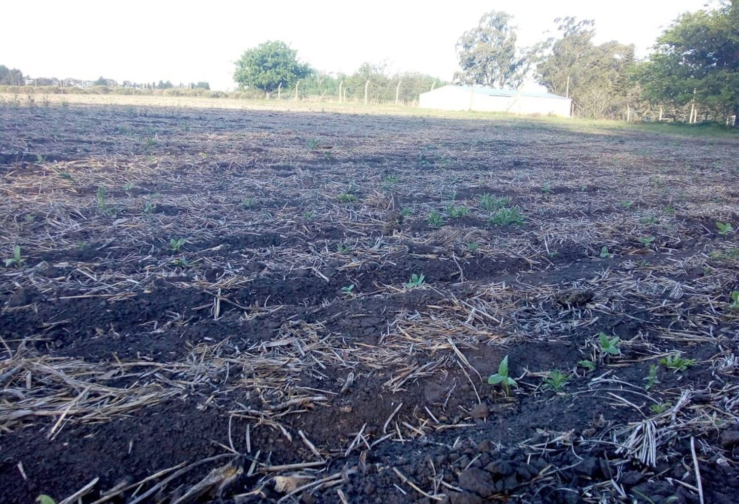 El MTE Rural apoya los  vecinos de La Porteña