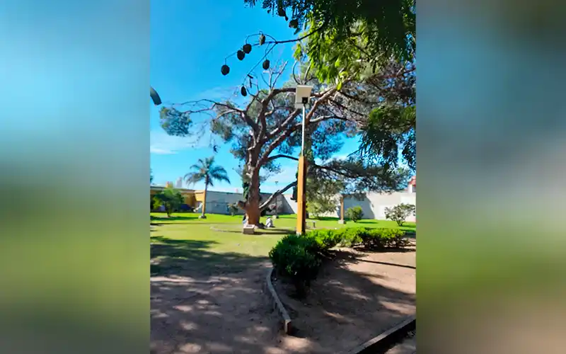 Reclamo: “¿Es necesaria tremenda mutilación?”