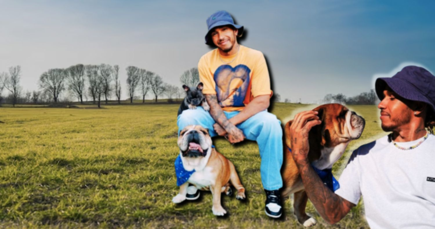 Lewis Hamilton vuelve vegano a su perro ¿Por qué lo hizo?