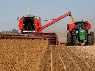 El daño que le ha hecho a la Argentina el mito del país rico