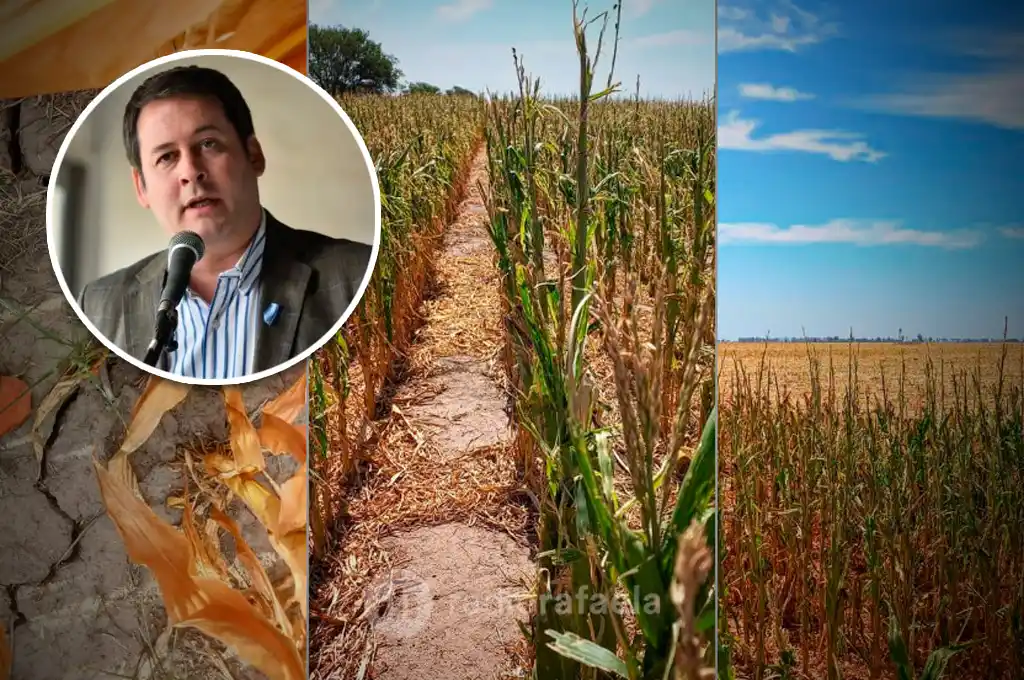 Buscan sumar al departamento Castellanos bajo Emergencia Agropecuaria