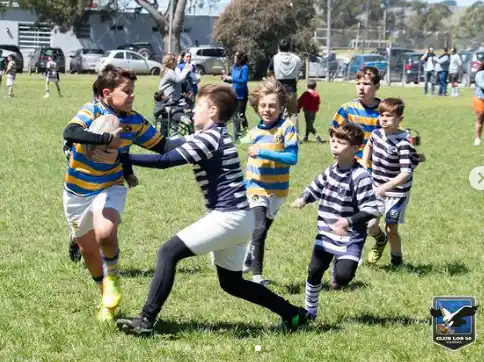 rugby infantil - 2
