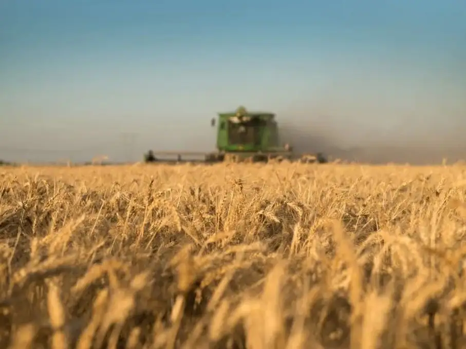 Las zonas del centro y norte del área agrícola muestran intenciones de siembra superiores a las del ciclo previo