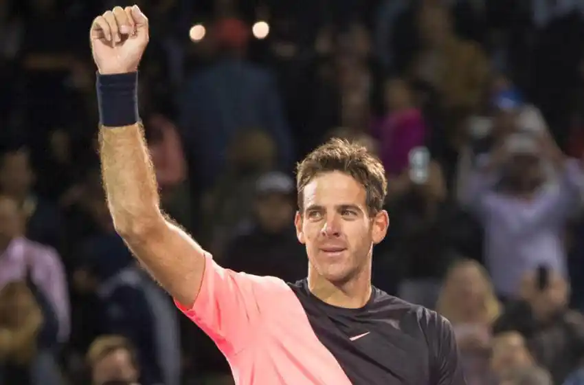 Delpo venció a Raonic y se metió en semifinales