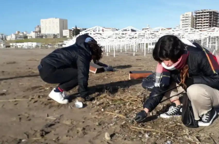 Jornada de concientización ambiental en la zona de Punta Mogotes y el Puerto