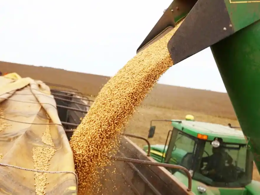 La suba de retenciones al campo en julio hará caer 12 % la rentabilidad del agro