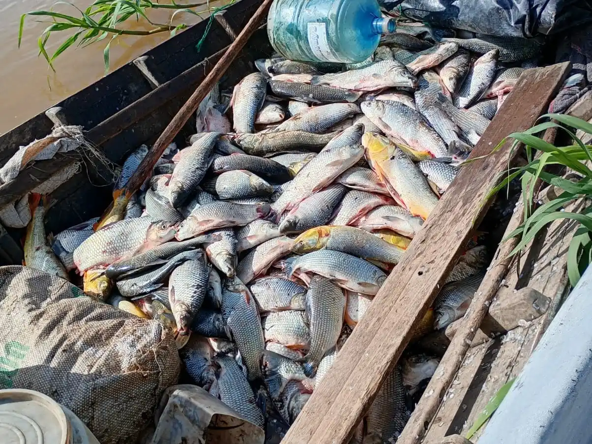 Sábalos y dientudos secuestrados: sancionaron a siete pescadores por pesca ilegal en Santa Fe