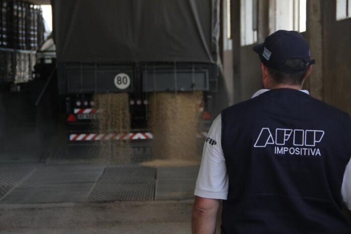 Bahía Blanca: la AFIP detectó un faltante millonario de granos en un acopio
