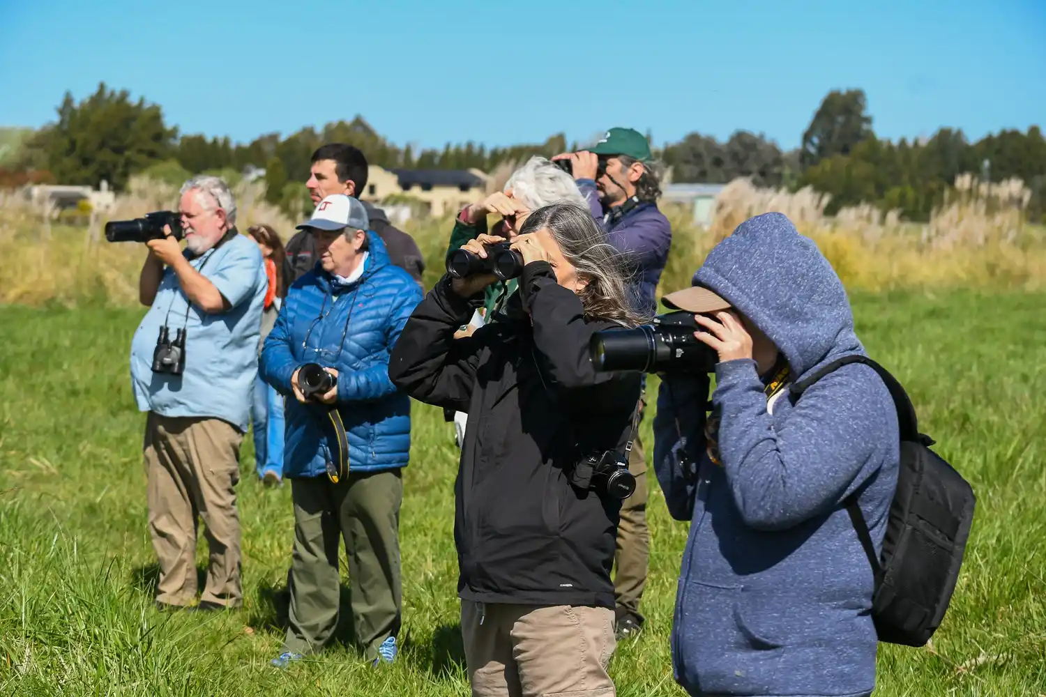 Avistaje de aves en la zona del Castillo y el arroyo Vitel para celebrar el Día de los Humedales