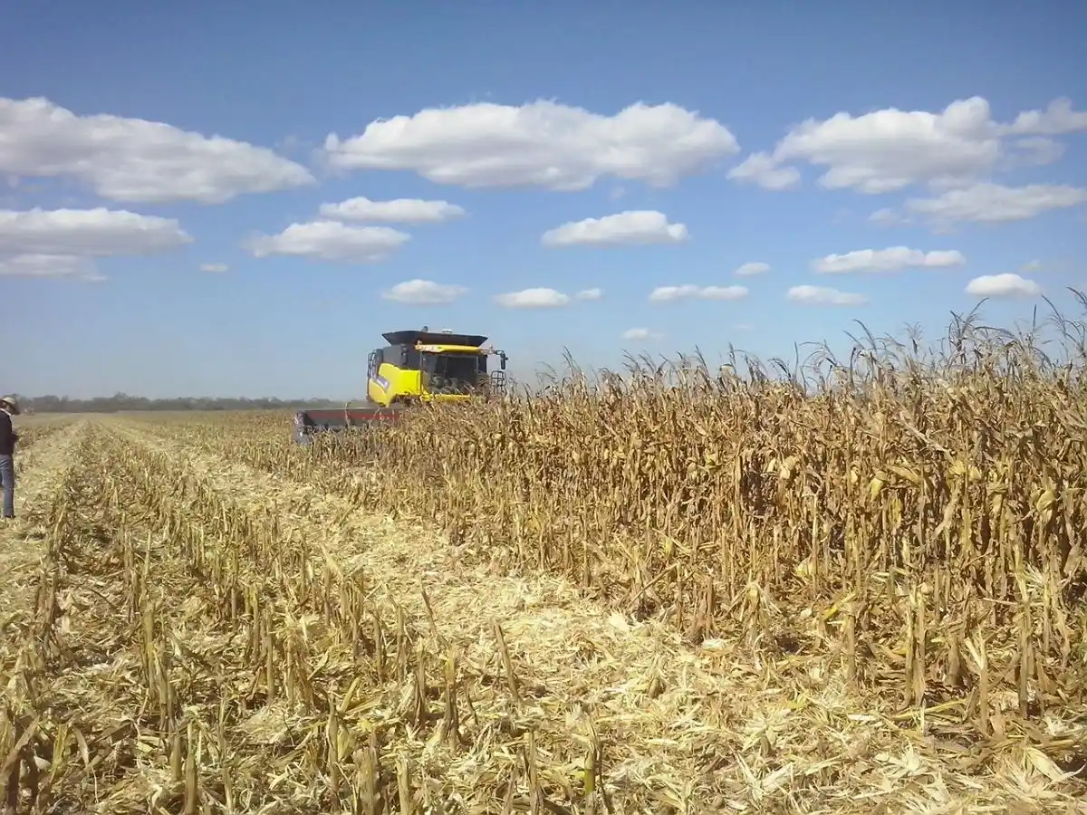 Se exportaron más de 5 mil toneladas de granos con certificación electrónica