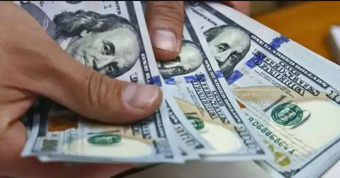 En una disparada minuto a minuto, el blue tocó los 318 pesos y cerró a 317