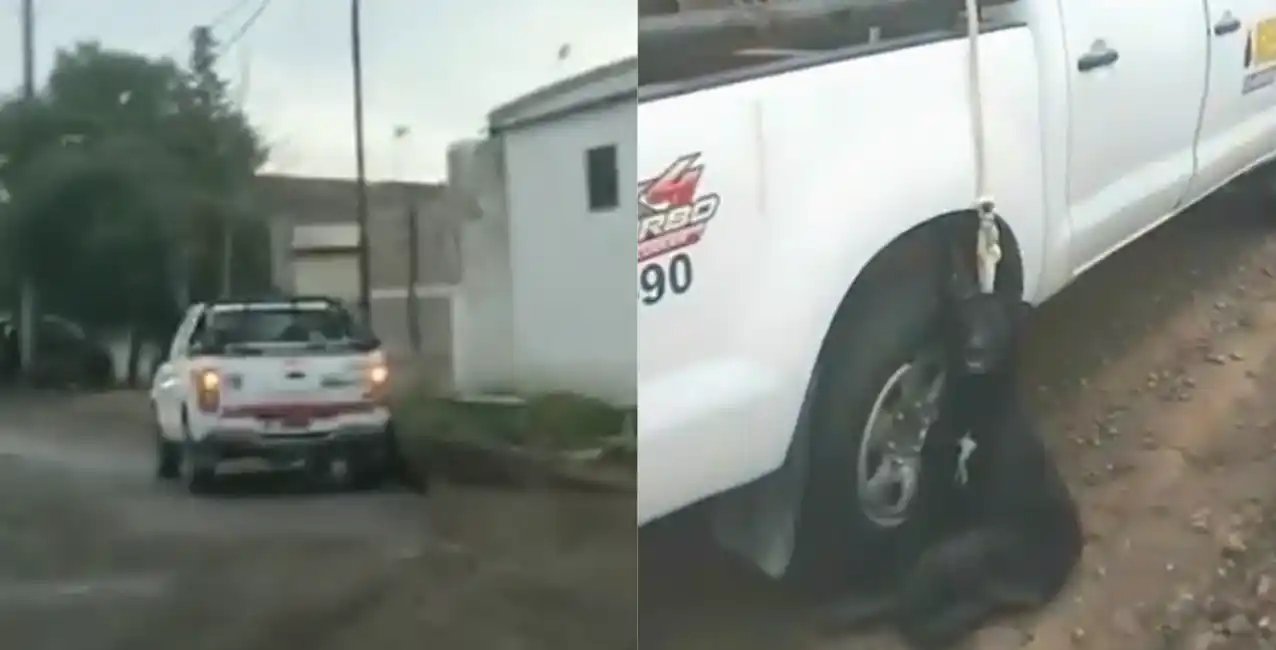 El hecho sucedió en Neuquén