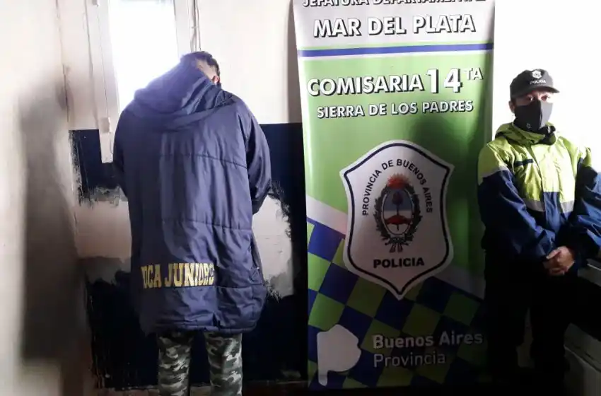 Mudanza sospechosa: se llevaba hasta las plantas