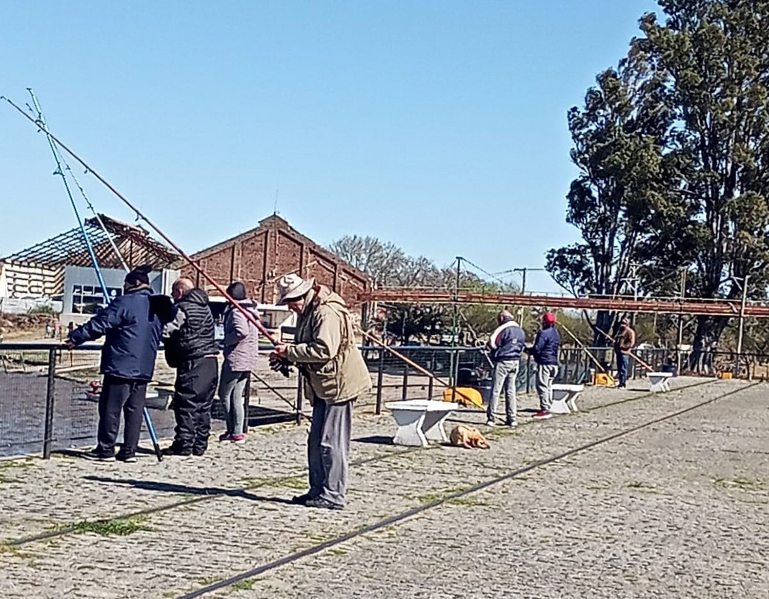 Pesca 5