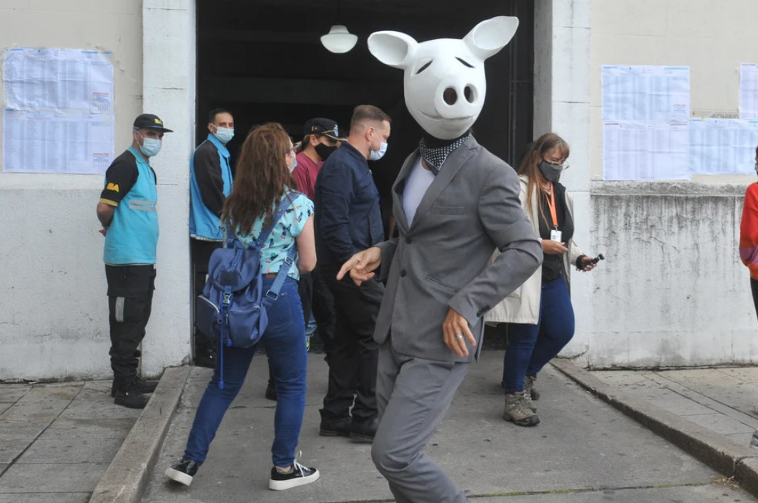 Un “Chancho Blanco” fue a votar y habló con la prensa