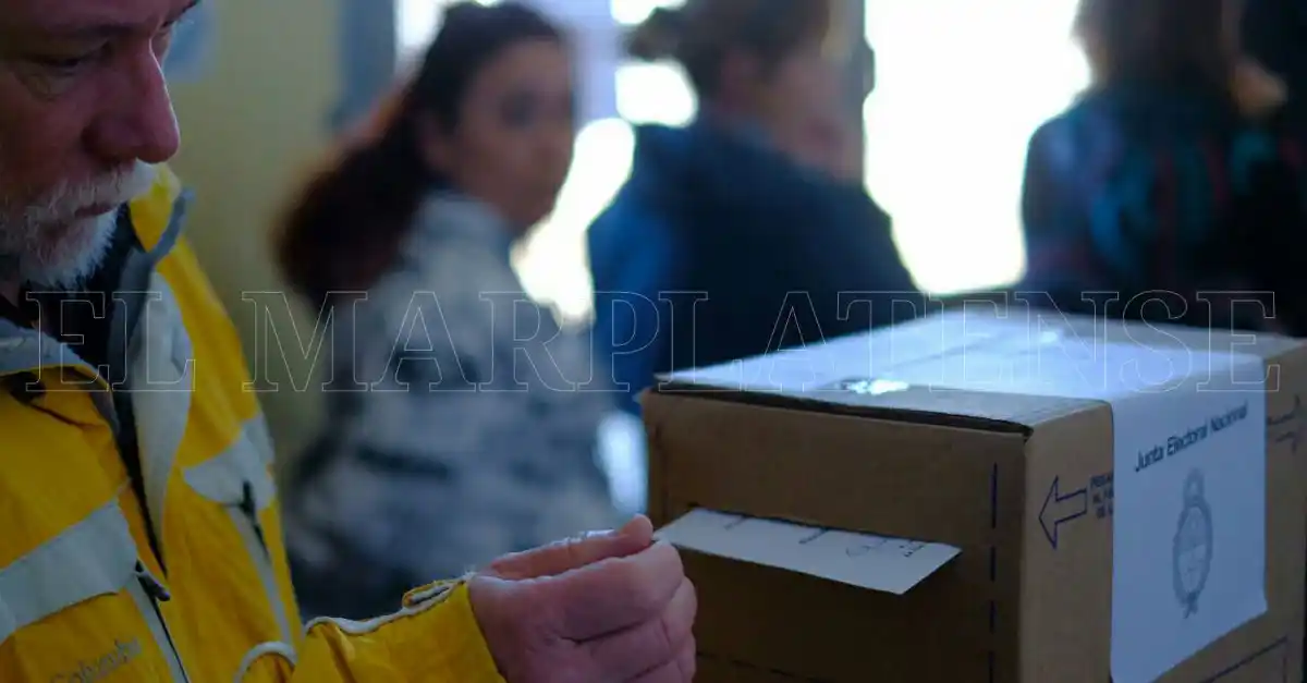 PASO: En Mar del Plata votó el 71% del padrón