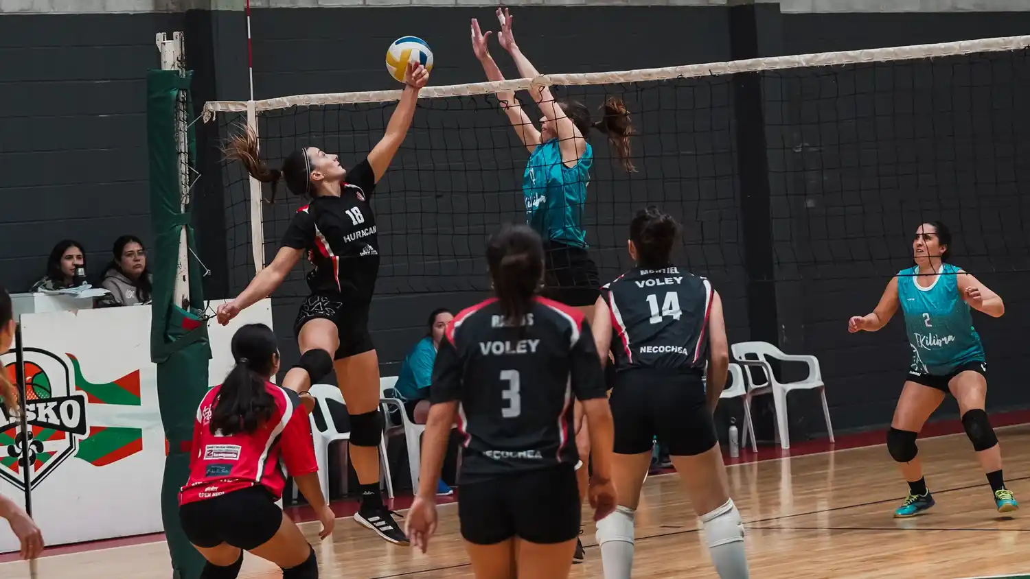 Vóleibol femenino