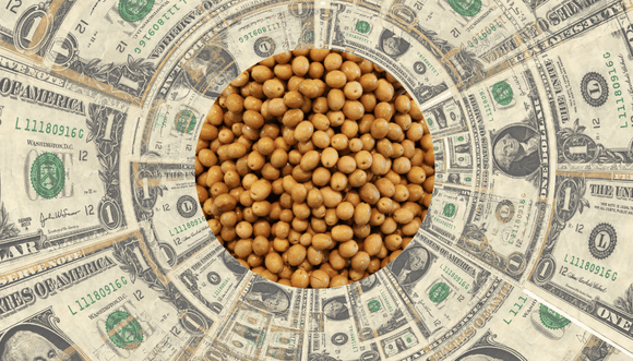 En tiempo de descuento, el “Dólar soja 3” alcanzó las expectativas oficiales