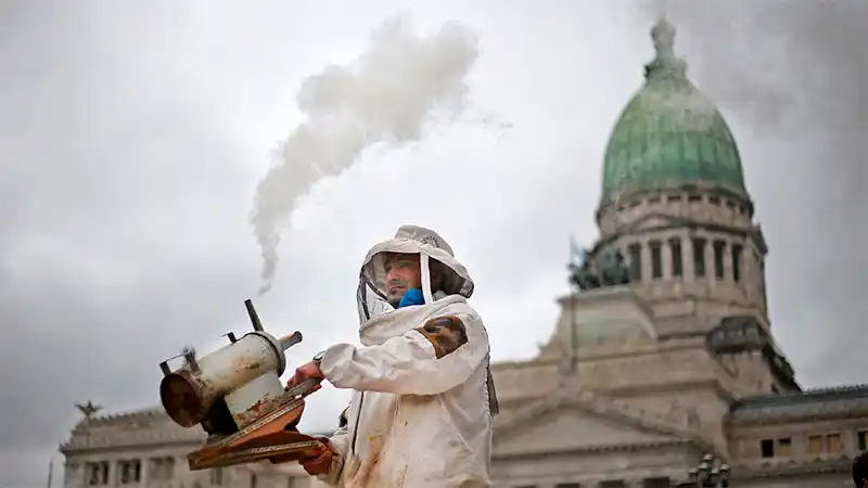 Reclamo y alerta de productores de miel contra transgénicos y agroquímicos
